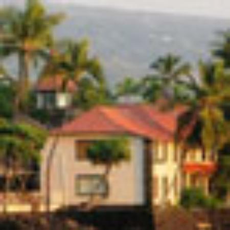 We 'R' Burgers 'N' Wraps